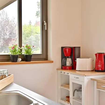 Casa de Férias Reetdachhaus 